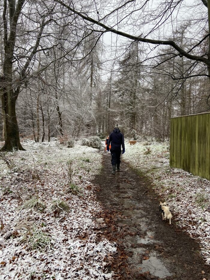 January is Walk Your Dog Month: Small steps, big benefits for you and your dog